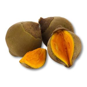 Zapote (picture taken from Google search)